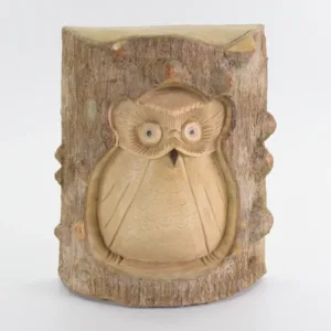 Crocodile Wood Carved Owl H8AW4-105-1003-01