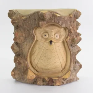 Crocodile Wood Carved Owl H8AW4-105-1004-01