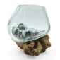 Molten Glass Vase on Driftwood H1AMG-025-1001-03