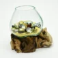 Molten Glass Vase on Driftwood H1AMG-025-1002-05