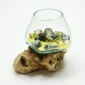 Molten Glass Vase on Driftwood H1AMG-025-1002-06