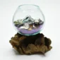 Molten Glass Vase on Driftwood H1AMG-025-1003-05