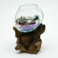 Molten Glass Vase on Driftwood H1AMG-025-1003-06