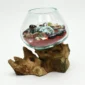 Molten Glass Vase on Driftwood H1AMG-025-1004-06