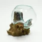 Molten Glass Vase on Driftwood H1AMG-025-1005-04