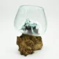 Molten Glass Vase on Driftwood H1AMG-025-3003-03