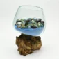 Molten Glass Vase on Driftwood H1AMG-025-3003-05